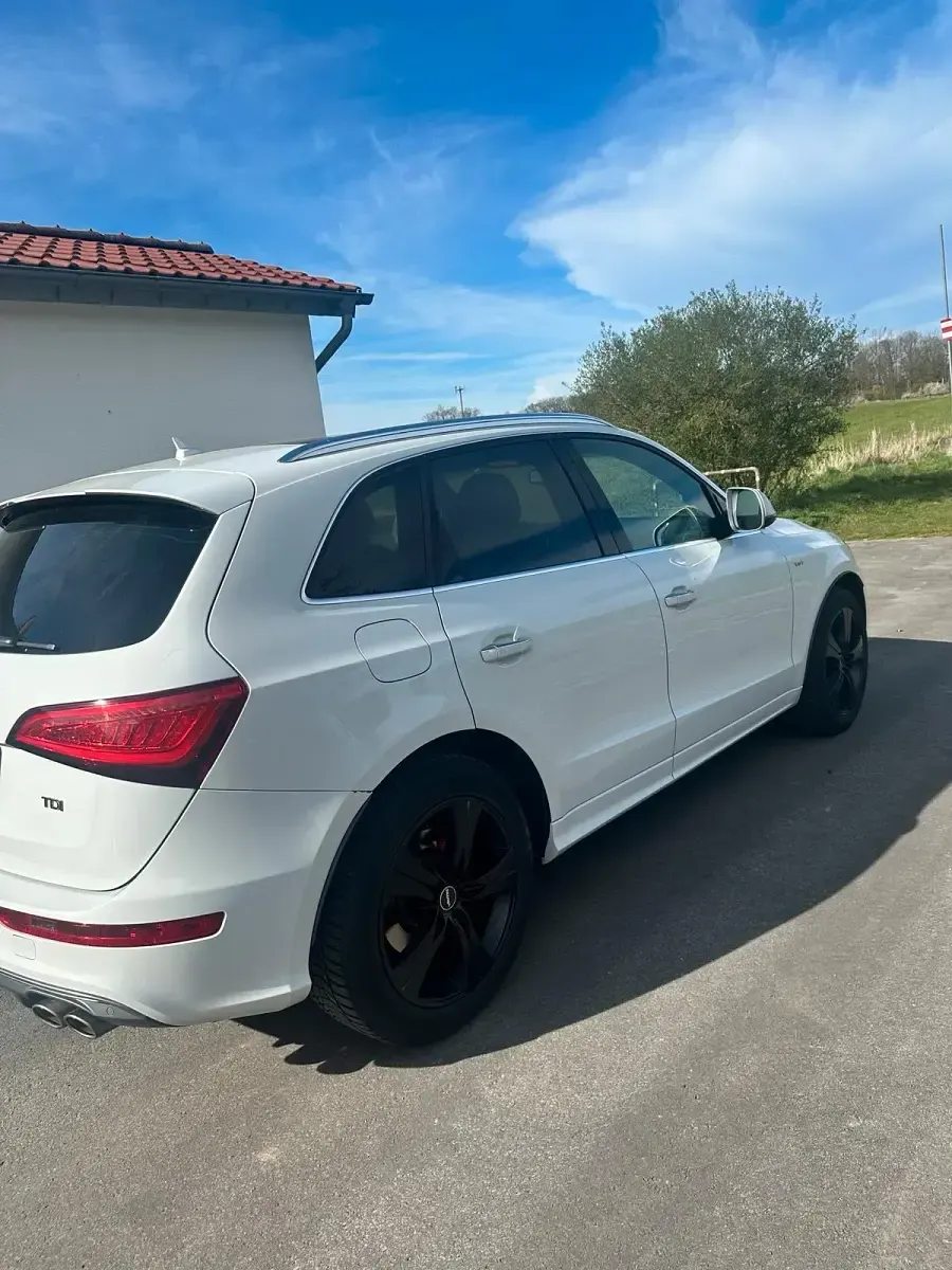 Gebraucht Audi SQ5 Competition 326 PS (239 kW) 2016 Weiß SUV