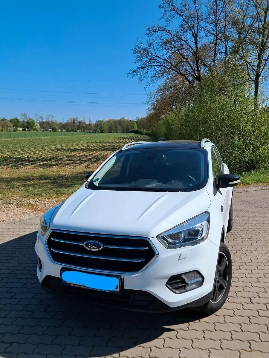 Gebraucht Ford Kuga Cool & Connect 150 PS (110 kW) 2019 Weiß SUV