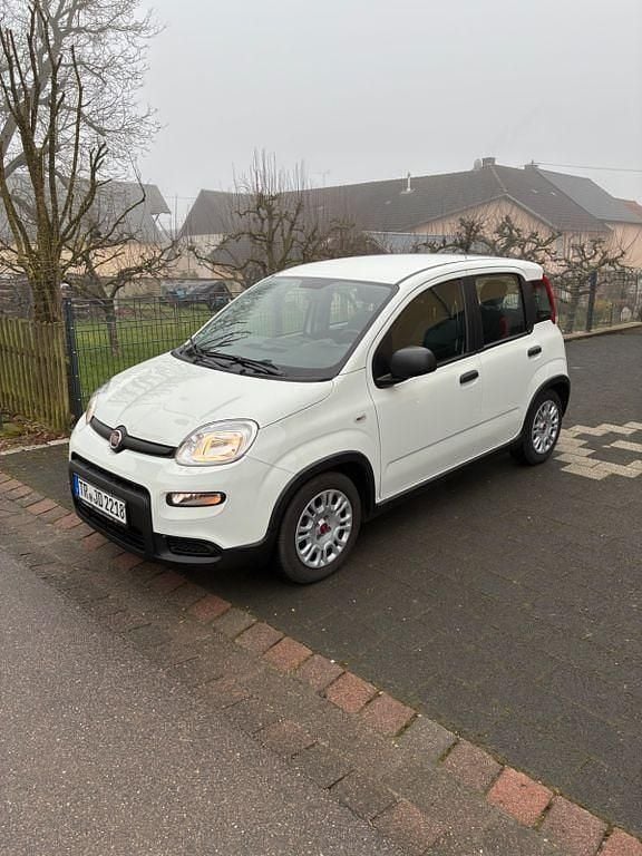 Gebraucht Fiat Panda 69 PS (50 kW) 2023 Weiß Kleinwagen