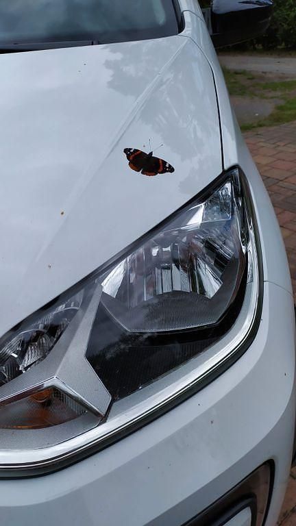 Gebraucht VW e-up! Style 60 kW (82 PS) 2020 Weiß Kleinwagen