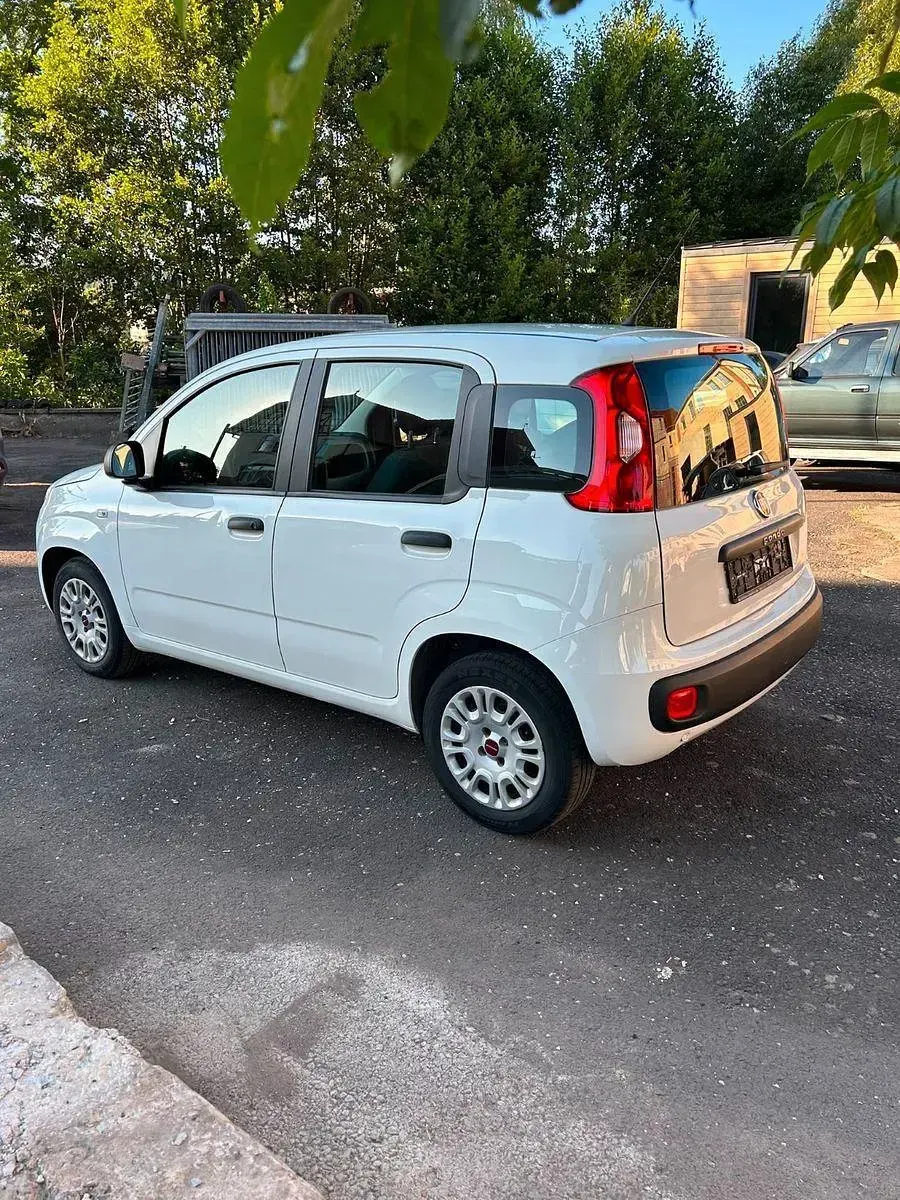 Gebraucht Fiat Panda Easy 69 PS (50 kW) 2019 Kleinwagen
