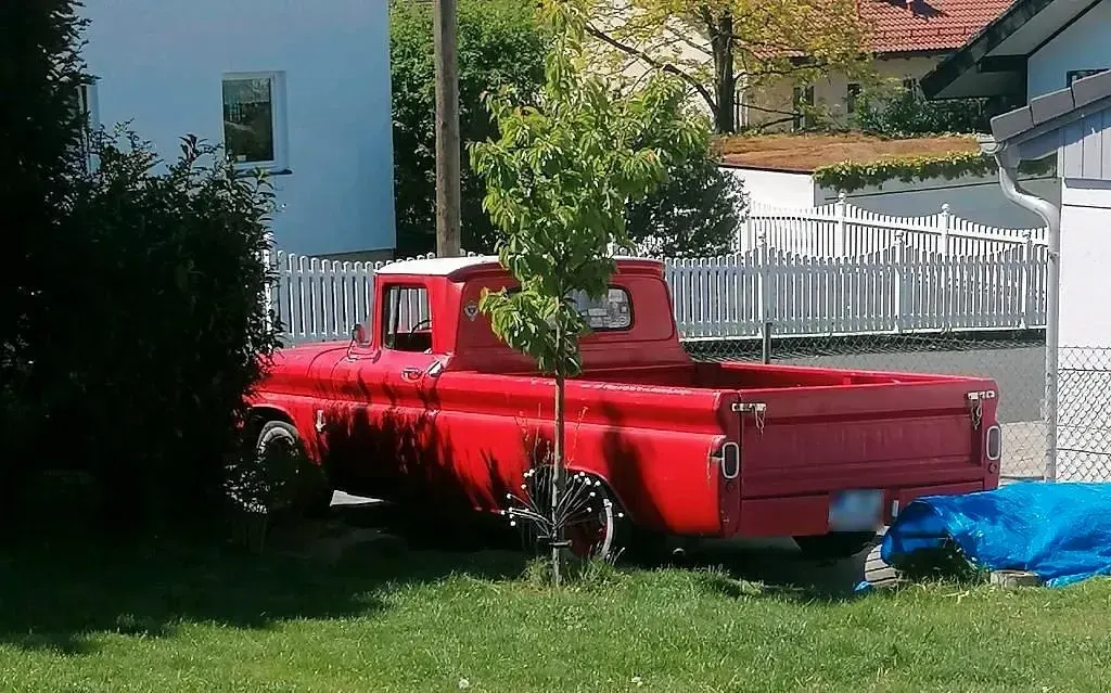 Gebraucht Chevrolet C10 145 PS (106 kW) 1963 Pickup