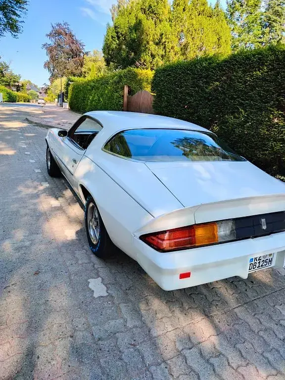 Gebraucht Chevrolet Camaro 147 PS (108 kW) 1979 Weiß Coupé