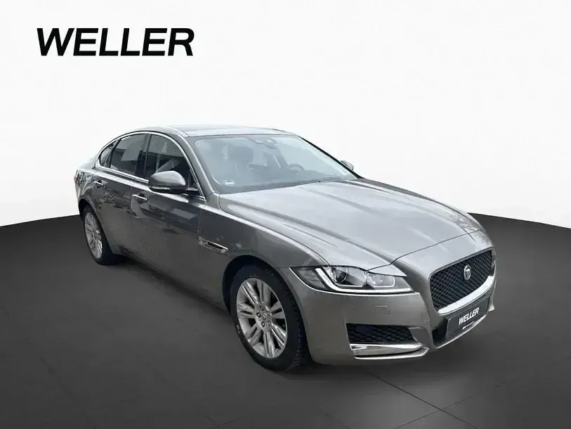 Gebraucht Jaguar XF Prestige 200 PS (147 kW) 2018 Grau (grau) Limousine