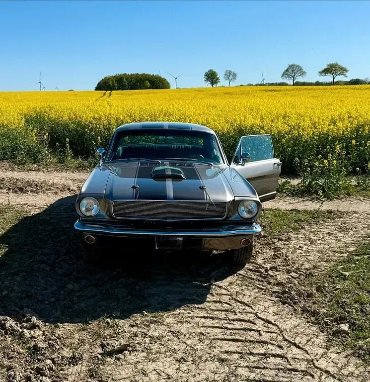 Używany Ford V8 179 KM (131 kW) 1966 Szary Coupe