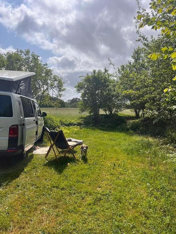 Gebraucht VW Transporter 150 PS (110 kW) 2015 Van