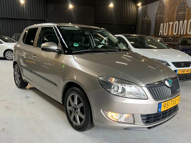 Gebraucht Skoda Fabia GreenLine 75 PS (55 kW) 2012 Beige Kleinwagen