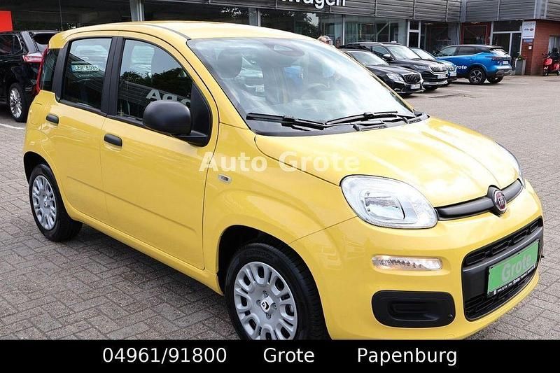 Neu Fiat Panda 69 PS (50 kW) 2025 Gelb Kleinwagen
