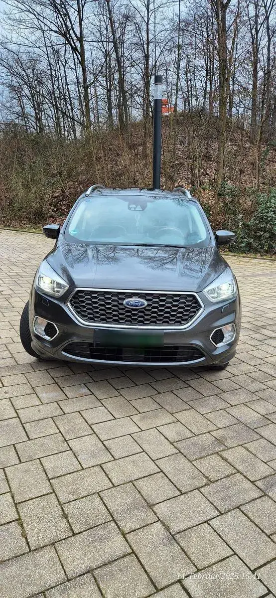 Gebraucht Ford Kuga Vignale 150 PS (110 kW) 2019 Grau SUV