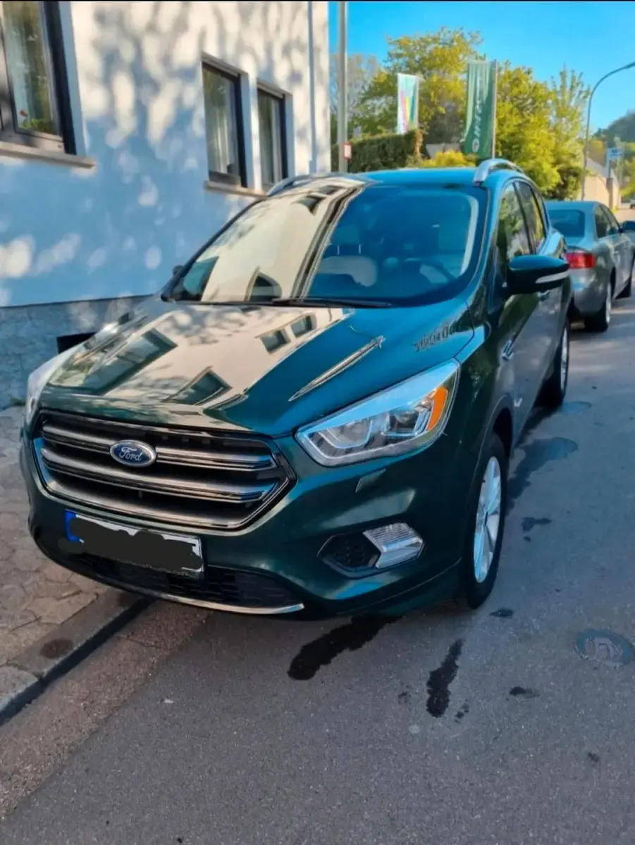 Gebraucht Ford Kuga Business Edition 150 PS (110 kW) 2017 Grün SUV