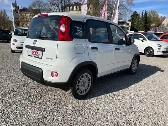 Occasion Fiat Panda 69 ch (50 kW) 2025 Blanc Citadine