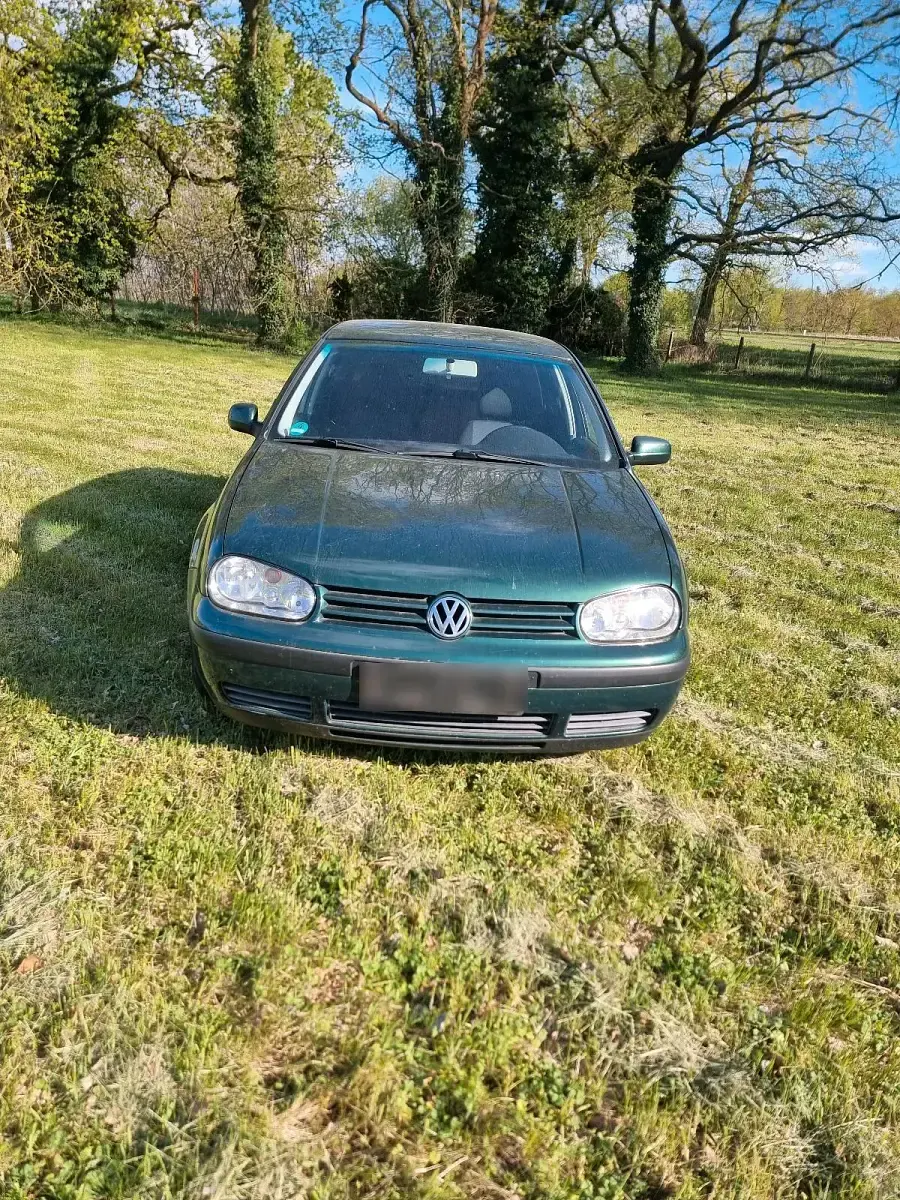 Brugt VW Golf IV 75 HK (55 kW) 2001 Grøn Sedan