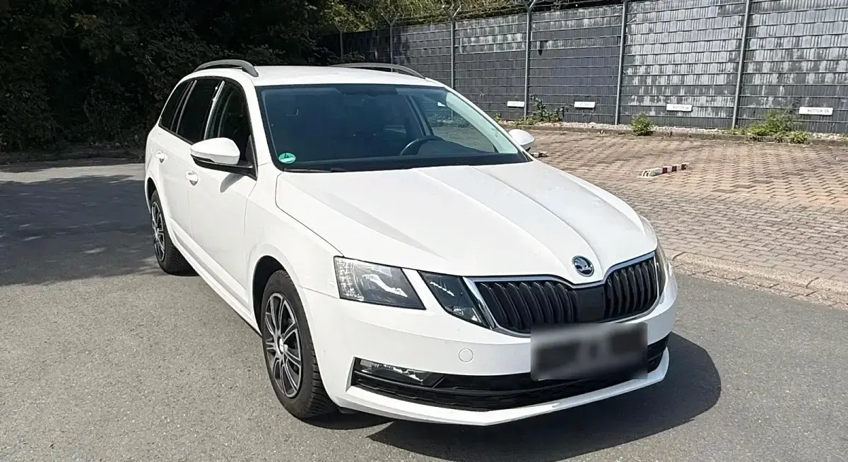 Gebraucht Skoda Octavia 116 PS (85 kW) 2019 Weiß Kombi