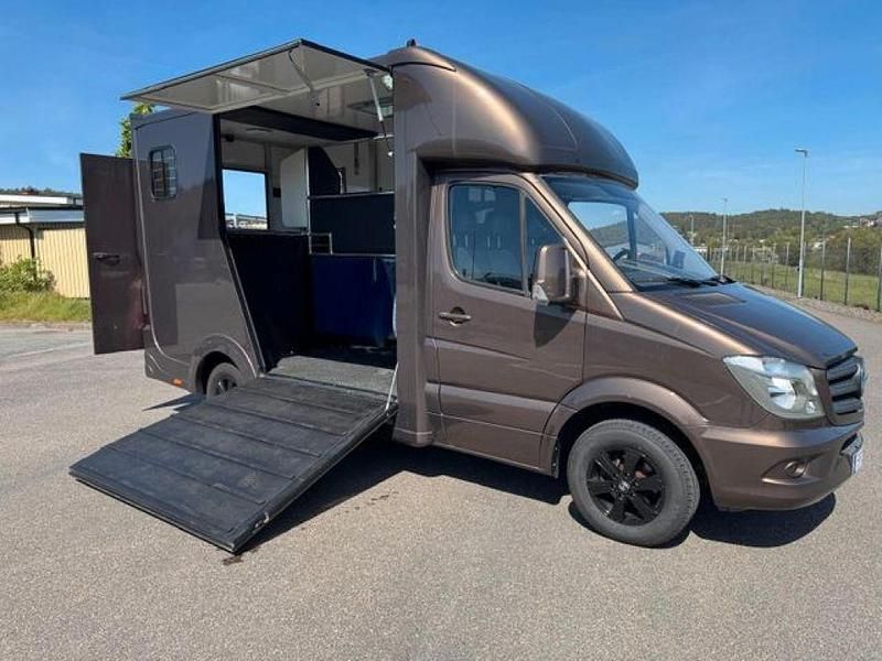 Braun Gebraucht 2014 Mercedes Sprinter Van | 43.911 € - Bild 1/4