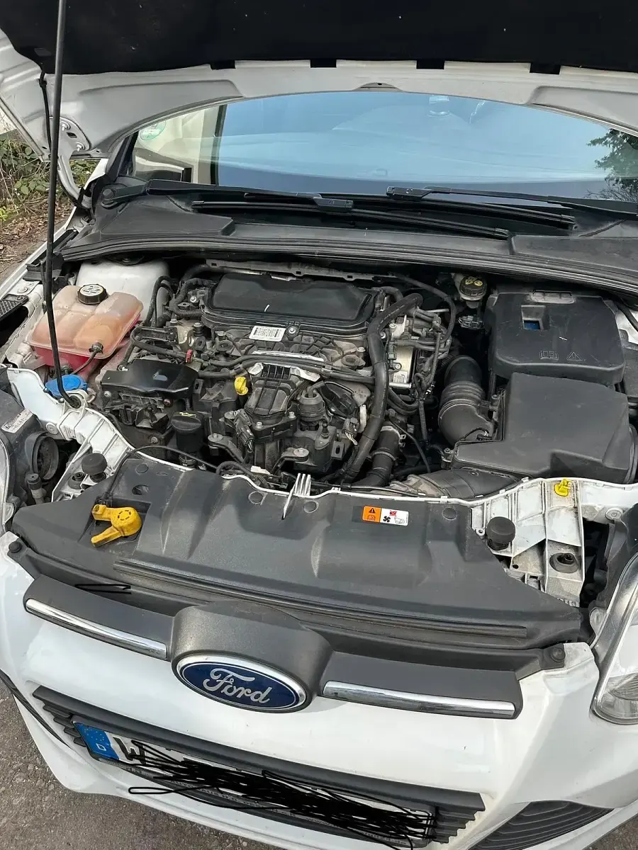 Gebraucht Ford Focus 116 PS (85 kW) 2014 Weiß Kombi