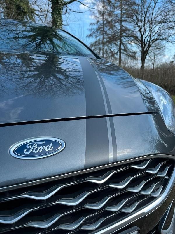 Gebraucht Ford Fiesta Vignale 101 PS (74 kW) 2018 Grau Kleinwagen