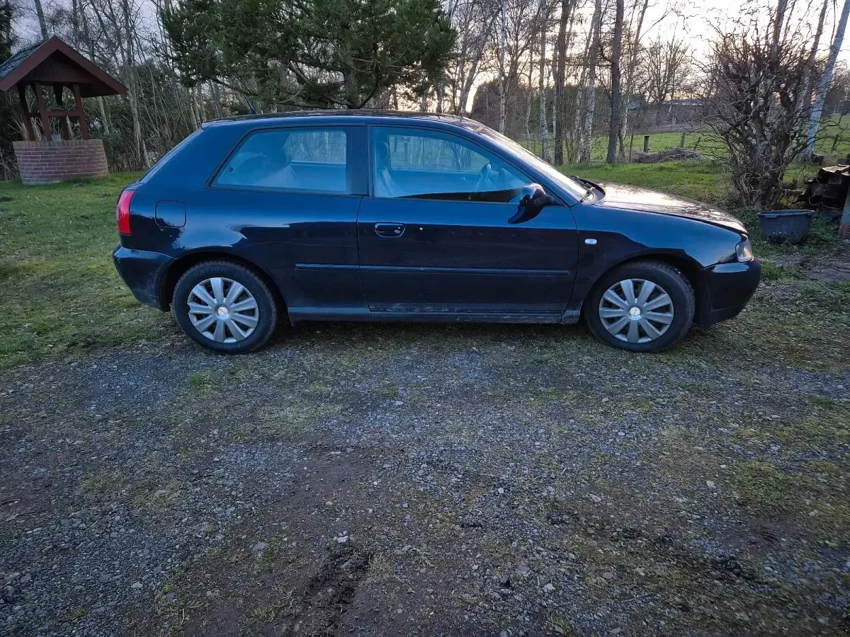 Używany Audi A3 131 KM (96 kW) 2001 Hatchback