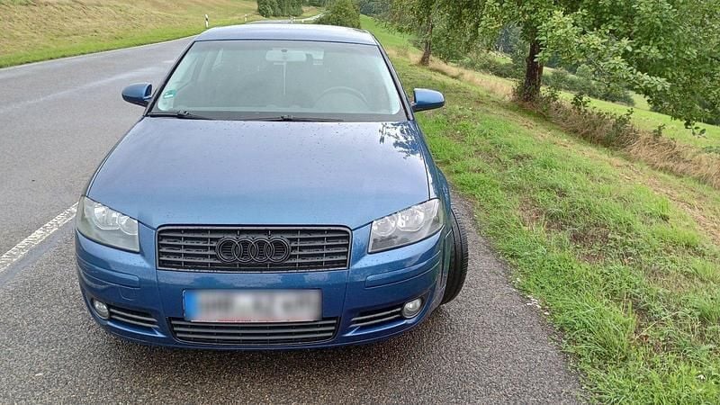 Gebraucht Audi A3 Sportback 116 PS (85 kW) 2004 Blau Kleinwagen