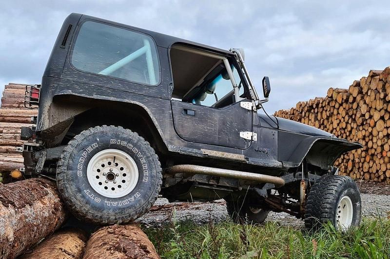 Gebraucht Jeep Wrangler 184 PS (135 kW) 1994 Schwarz SUV