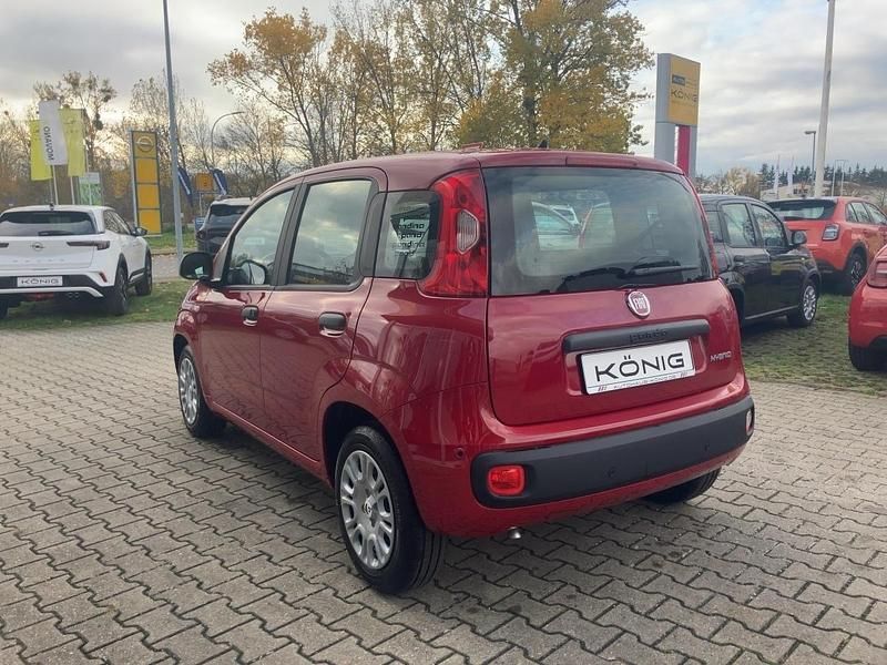Neu Fiat Panda 69 PS (50 kW) 2025 Rot Kleinwagen