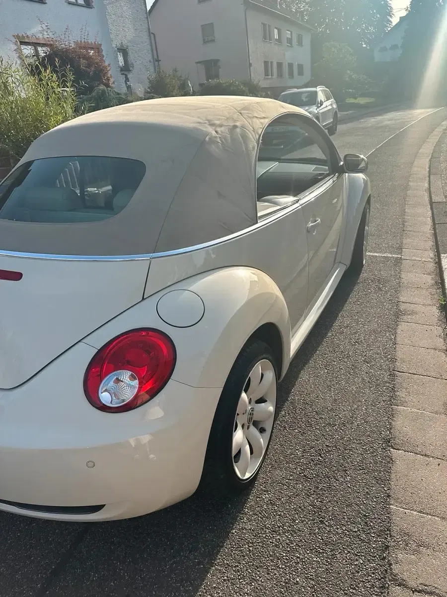 Usata VW Beetle Cabriolet 105 CV (77 kW) 2008 Beige Cabrio