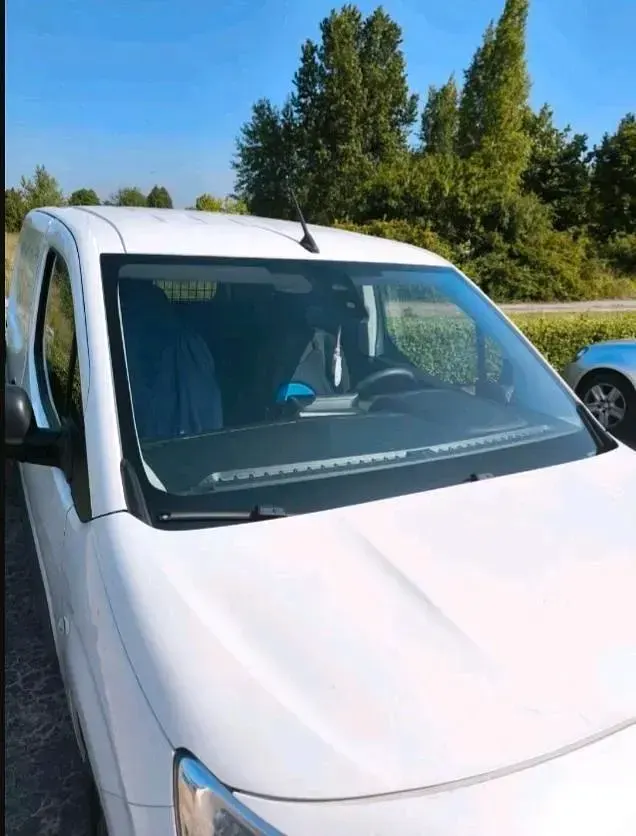Usado Opel Combo 105 HP (77 kW) 2019 Branco Monovolume
