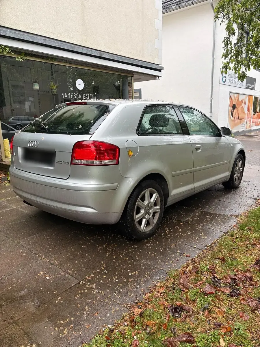 Używany Audi A3 140 KM (102 kW) 2005 Srebrny Hatchback