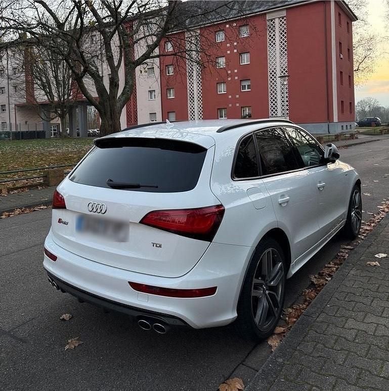 Gebraucht Audi SQ5 Competition 326 PS (239 kW) 2017 Weiß SUV