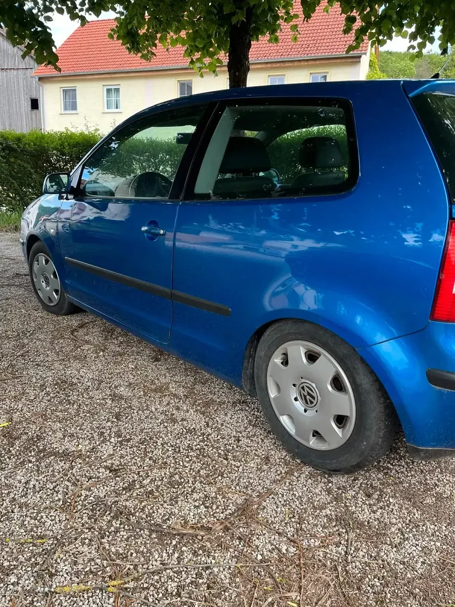 Usata VW Polo 64 CV (47 kW) 2003 Blu Utilitaria