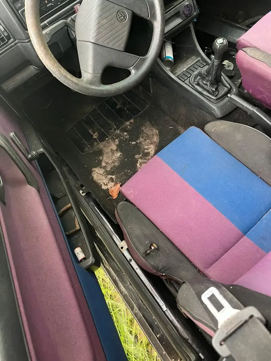 Gebraucht VW Golf II 90 PS (66 kW) 1990 Violet Kleinwagen