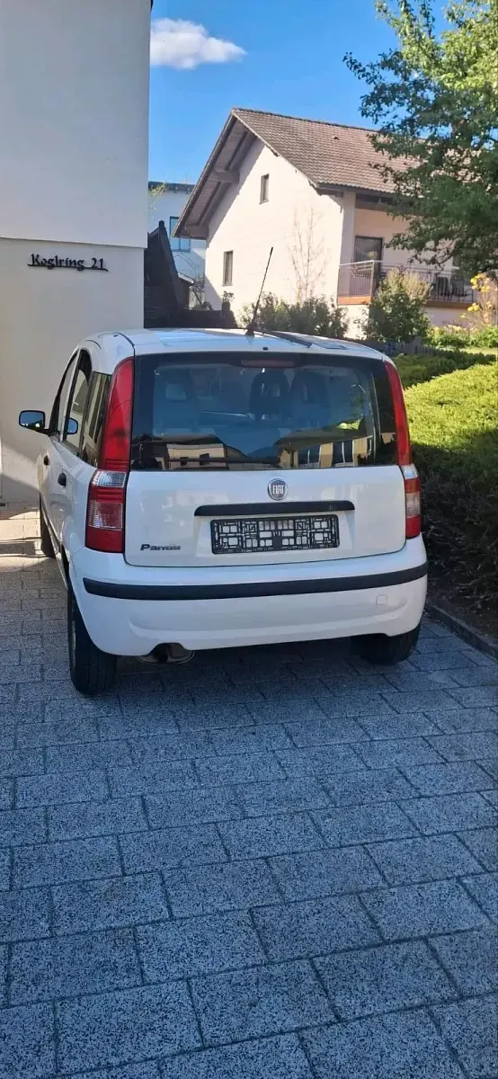 Usata Fiat Panda 60 CV (44 kW) 2009 Bianco Utilitaria