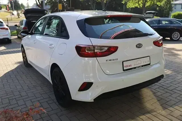 Gebraucht Kia Ceed Edition 7 140 PS (102 kW) 2019 Carraraweiß Kleinwagen