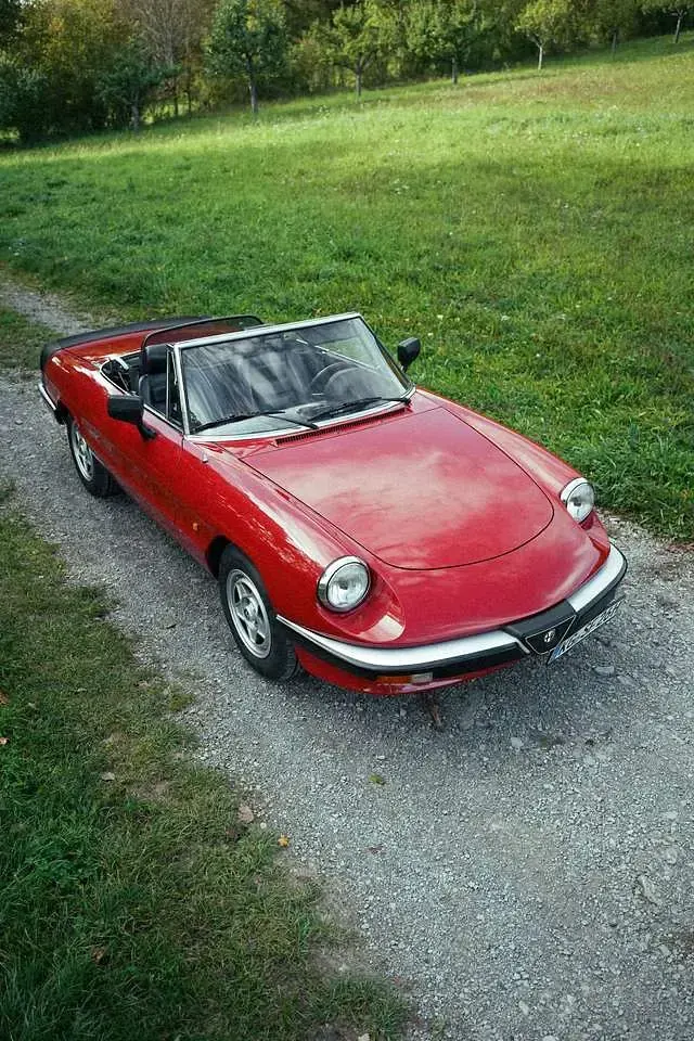 Gebraucht Alfa Romeo Spider 126 PS (92 kW) 1986 Cabrio