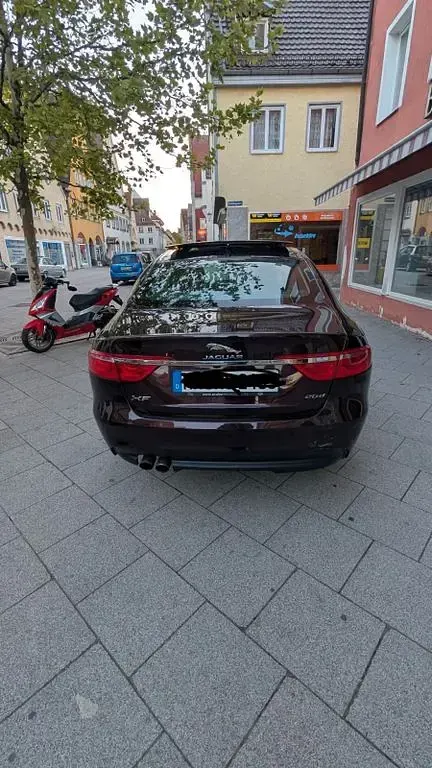 Gebraucht Jaguar XF Portfolio 179 PS (131 kW) 2016 Rot Limousine