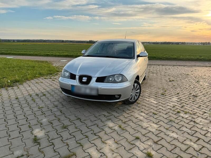 Silber Gebraucht 2003 Seat Ibiza Kleinwagen | 1.100 € (Fairer Preis) - Bild 1/4