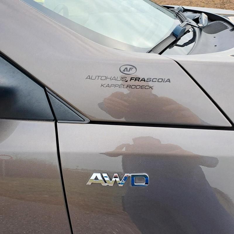 Gebraucht Kia Sportage Spirit 184 PS (135 kW) 2013 Braun SUV