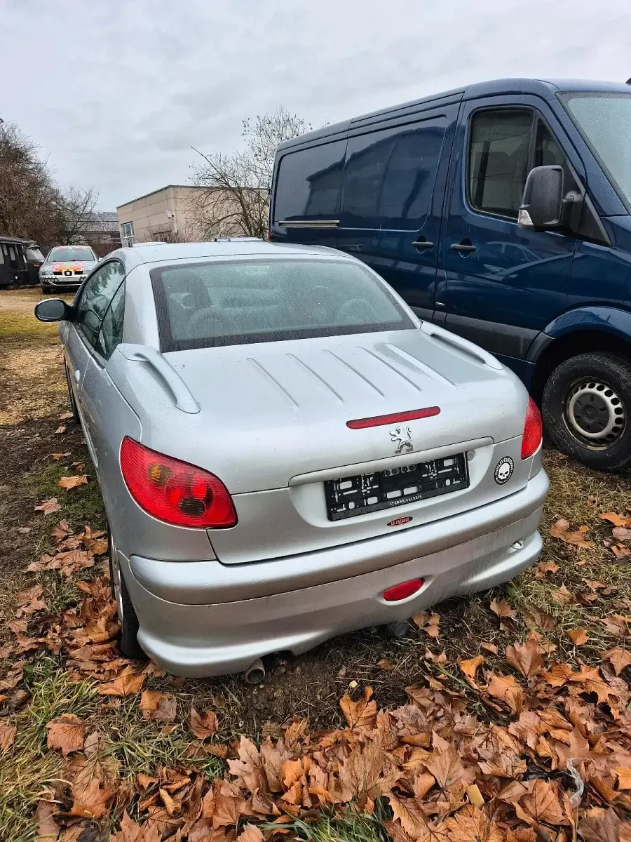 Gebraucht Peugeot 206 121 PS (88 kW) 2004 Grau Cabrio