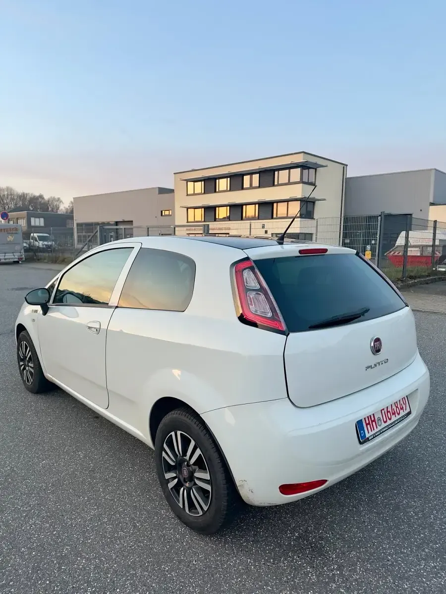 Gebraucht Fiat Punto Young 77 PS (56 kW) 2015 Weiß Kleinwagen