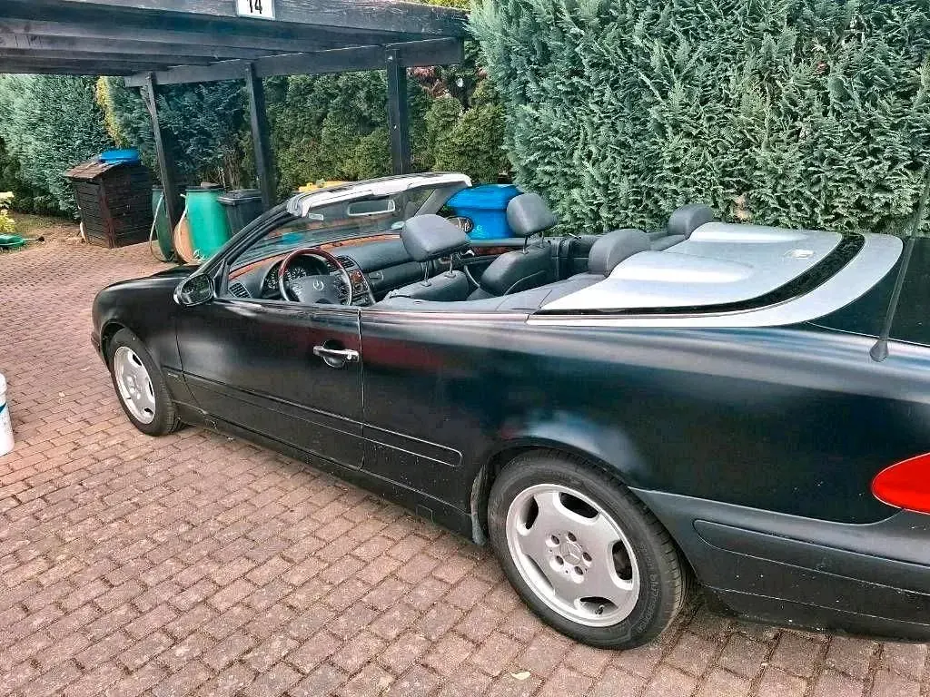 Gebraucht Mercedes CLK230 193 PS (141 kW) 2003 Schwarz Cabrio