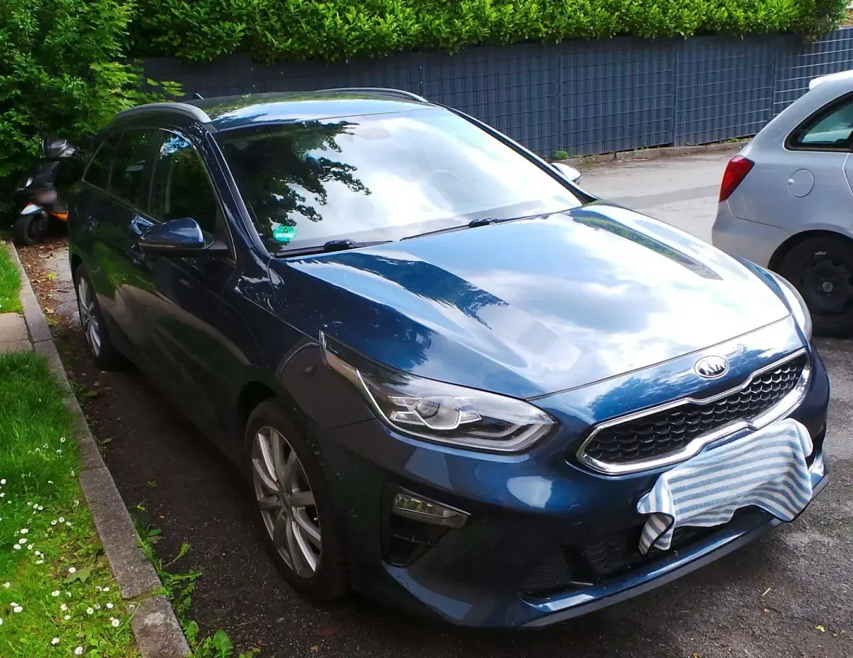 Gebraucht Kia Ceed Platinum 140 PS (102 kW) 2020 Blau Kleinwagen