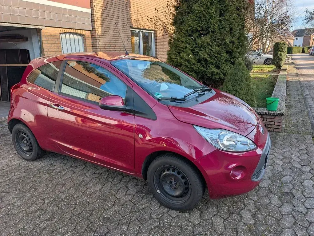 Usata Ford Ka 69 CV (50 kW) 2015 Rosso Utilitaria