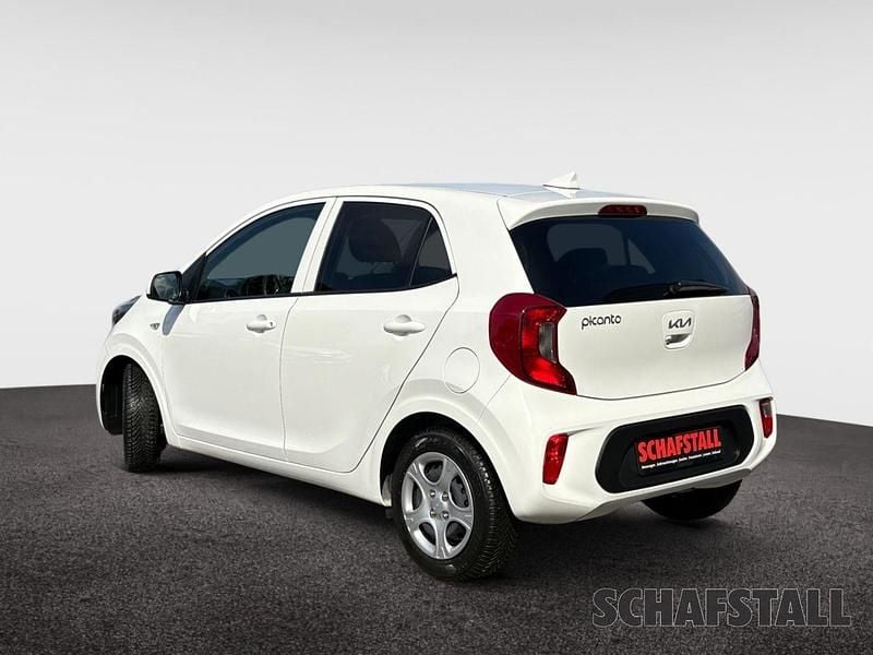 Gebraucht Kia Picanto Vision 67 PS (49 kW) 2024 Weiss ((ud) schneeweiss) Kleinwagen