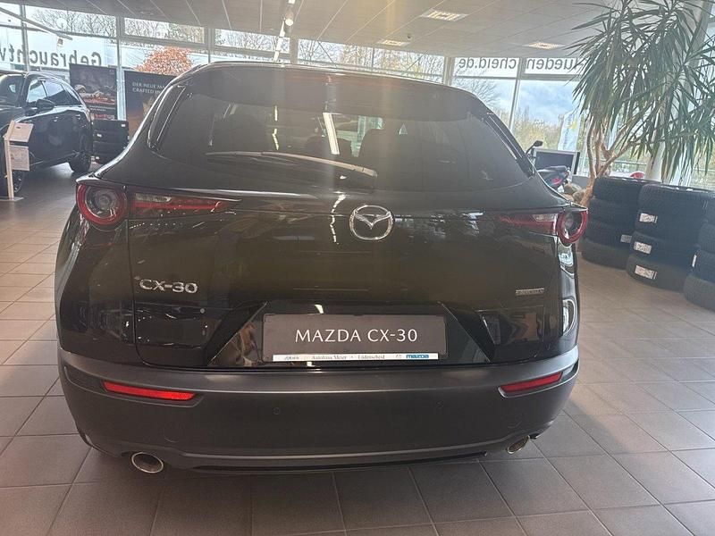 Gebraucht Mazda CX-30 186 PS (136 kW) 2021 SUV