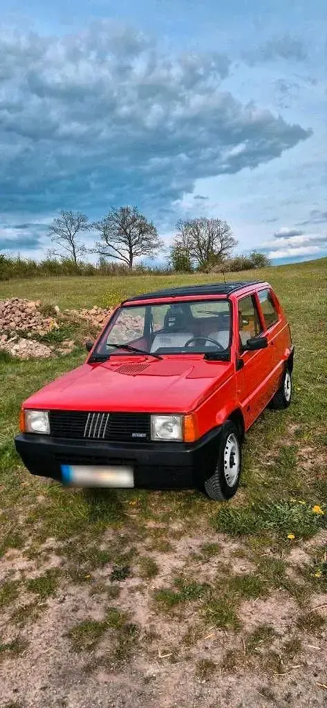 Gebraucht Fiat Panda 34 PS (25 kW) 1990 Rot Kleinwagen