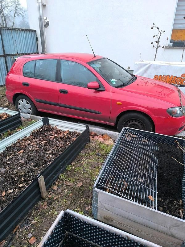 Rot Gebraucht 2004 Nissan Almera Kleinwagen | 800 € (Guter Preis) - Bild 1/4