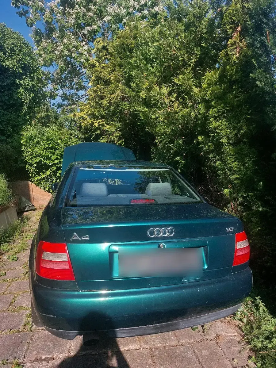 Gebraucht Audi A4 125 PS (91 kW) 1997 Grün Limousine