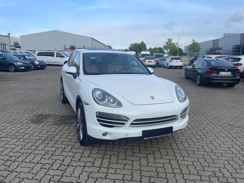 Gebraucht Porsche Cayenne Platinum Edition 245 PS (180 kW) 2014 Weiß SUV