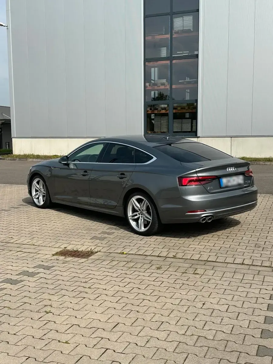 Gebraucht Audi A5 Sportback S-Line 231 PS (169 kW) 2019 Grau Kleinwagen