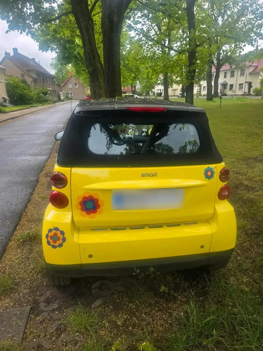 Usata Smart ForTwo Cabrio 61 CV (44 kW) 2007 Giallo Cabrio