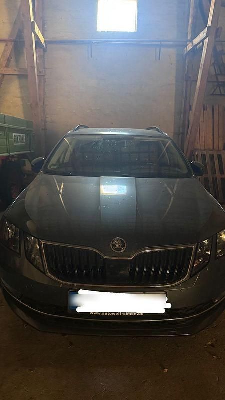 Gebraucht Skoda Octavia Style 150 PS (110 kW) 2020 Grau Kombi